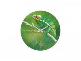 Часы настенные Nicole Time NT503 в Якутске - yakutsk.mebel-nsk.ru | фото